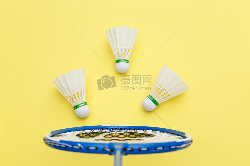 团队运营初 团队运营初