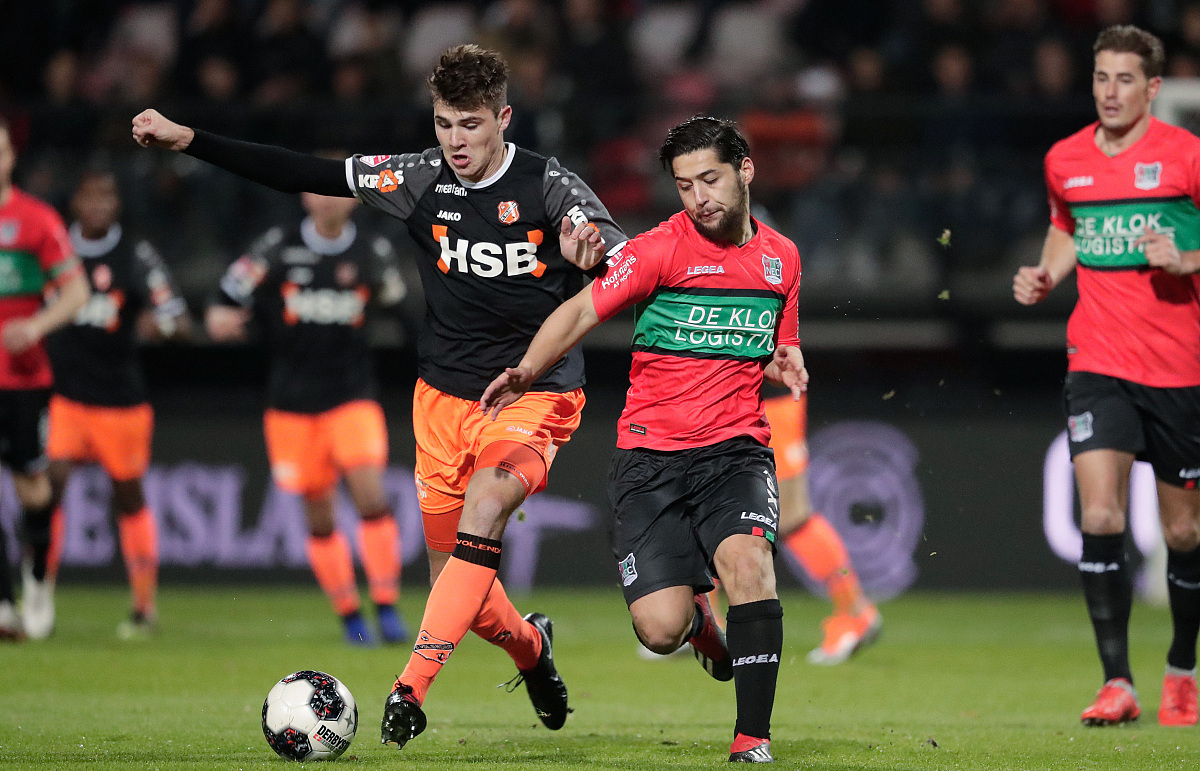 冷季型草 冷季型草