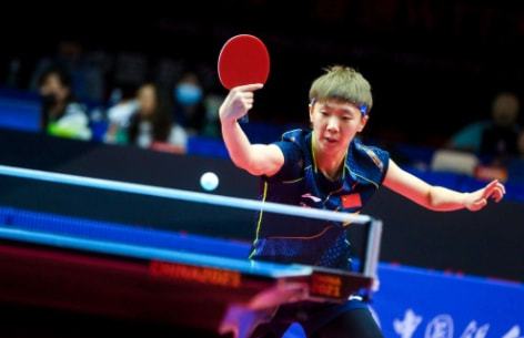 迪马尔科展 迪马尔科展