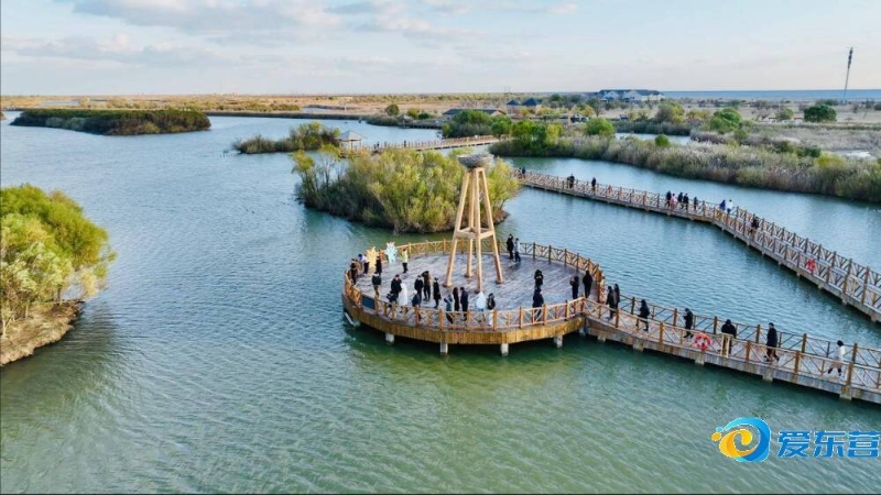 这篇文章将 这篇文章将