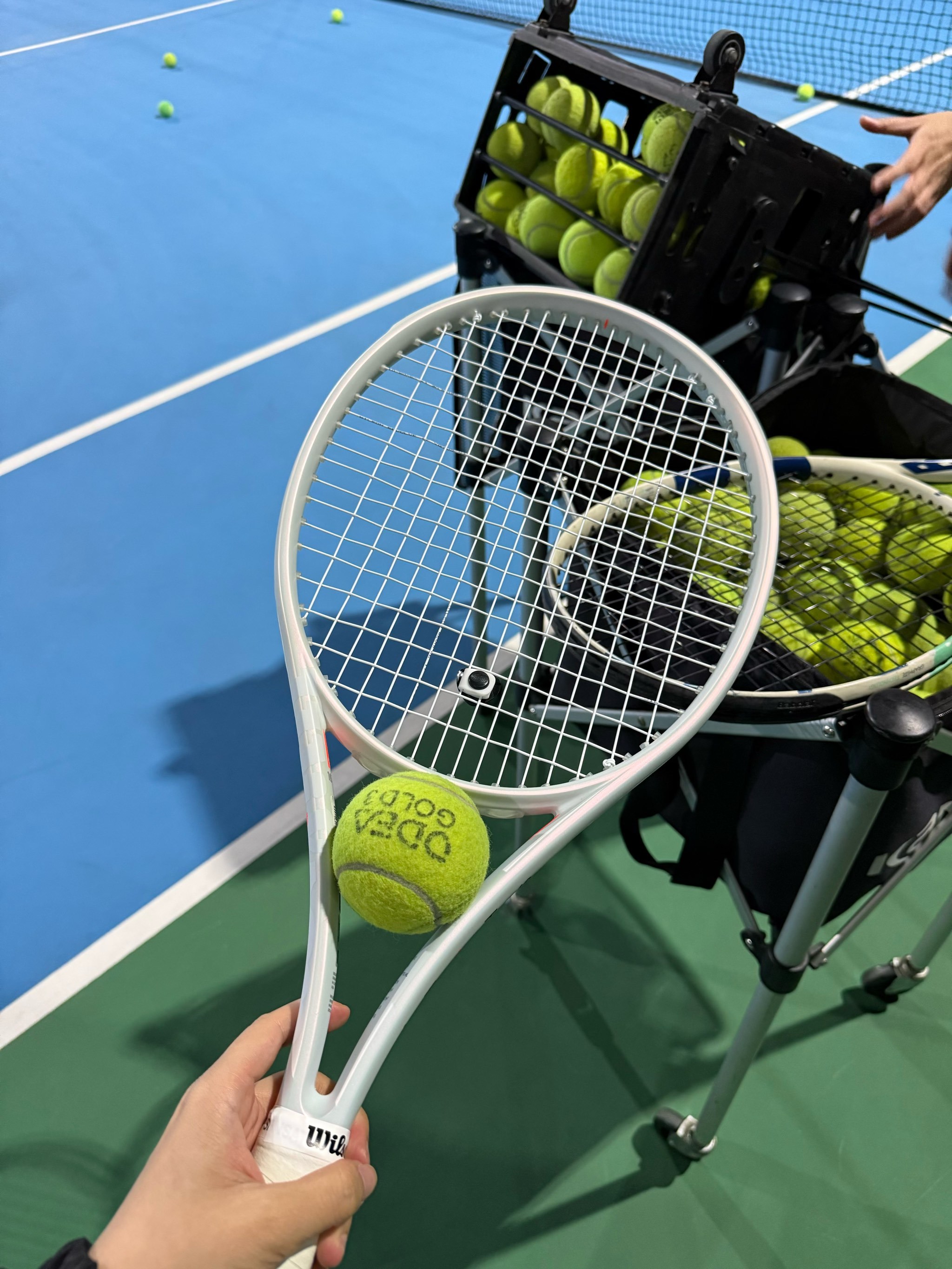 孙颖莎凭借 孙颖莎凭借