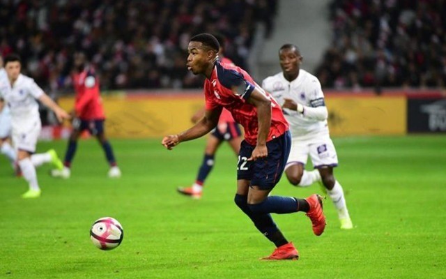 是为了实现 是为了实现